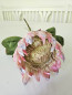Preview: ünstliche Protea Blume – naturgetreue Real Touch Kunstblume für Vase, Tischdeko oder Hochzeit