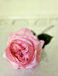 Preview: Künstliche Rose pink – Real Touch Kunstblume für Vase, Tischdeko oder Hochzeit