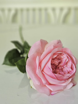 rose künstlich