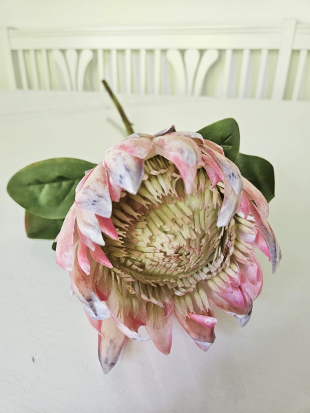 ünstliche Protea Blume – naturgetreue Real Touch Kunstblume für Vase, Tischdeko oder Hochzeit